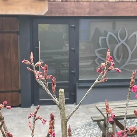 Apartamento Les Granges De Jadis D'alsace *