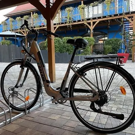 Les Granges De Jadis D'alsace Apartment *