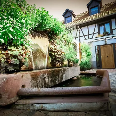 Les Granges De Jadis D'alsace Apartamento *