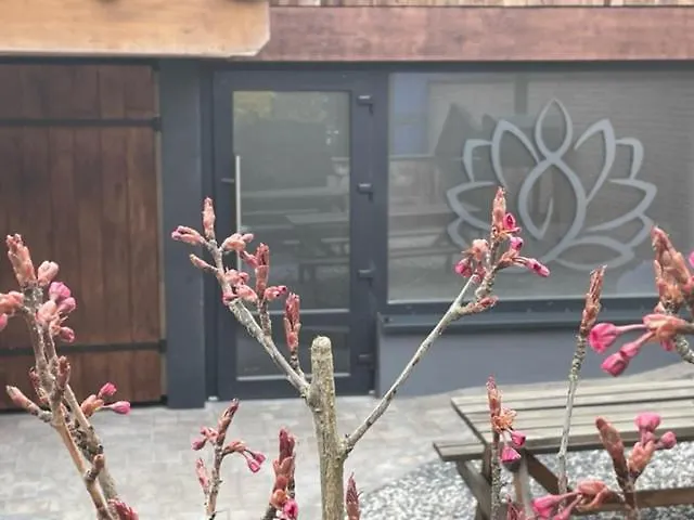 Apartman Les Granges De Jadis D'alsace *