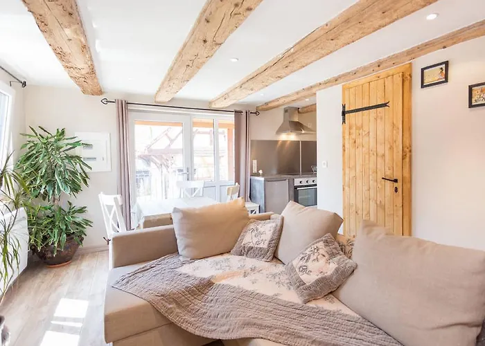 Les Granges De Jadis D'alsace Lejlighed Holtzwihr